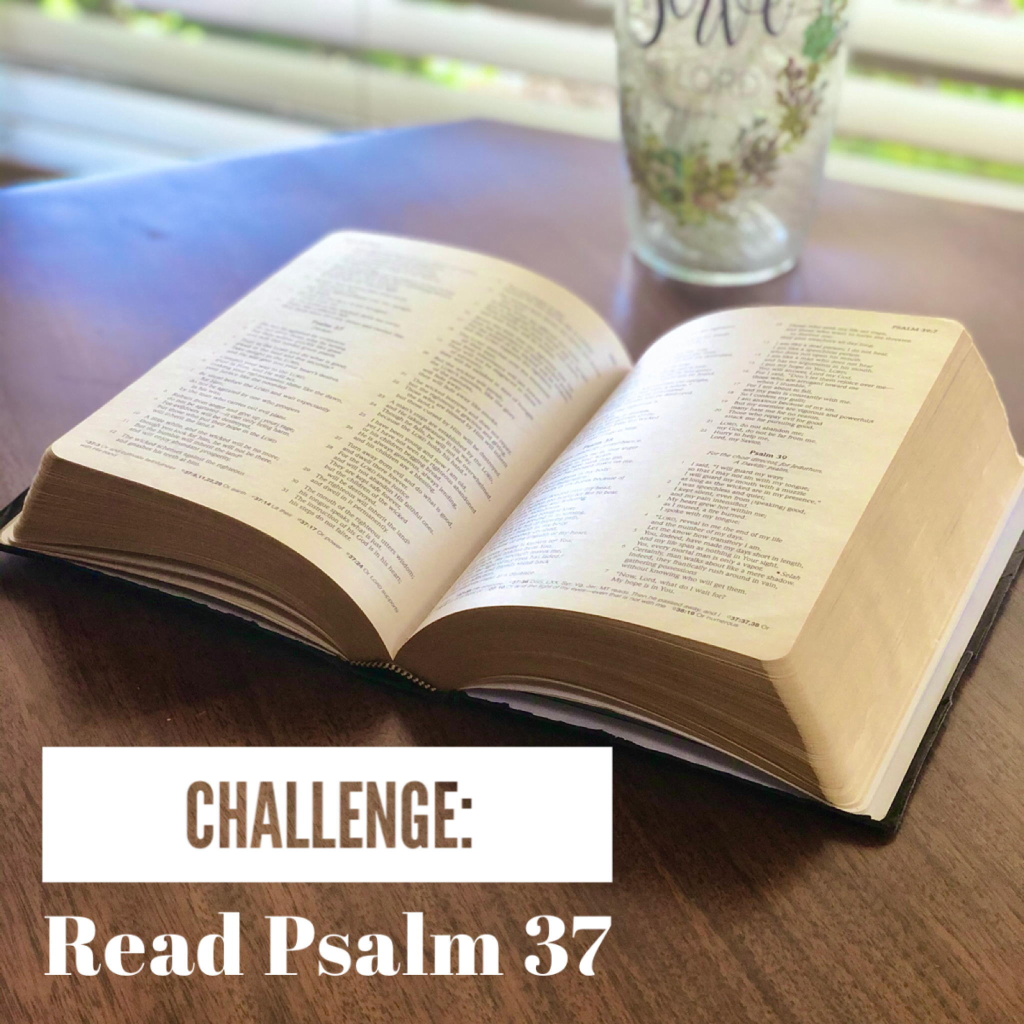 Read more about the article Daily Devo 18 – God Delights In You