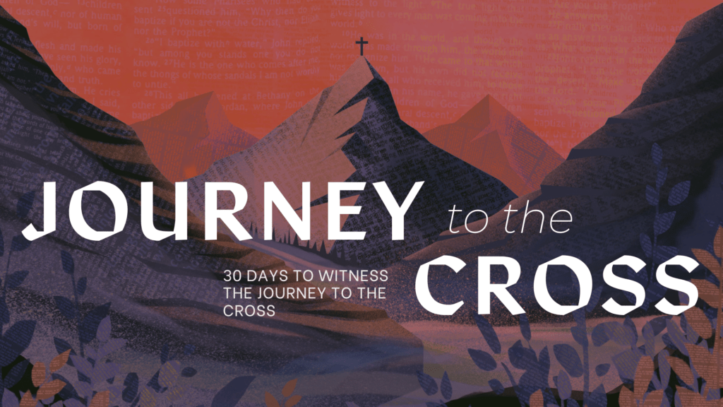 Journey to the Cross: A Blind Beggar and Zacchaeus